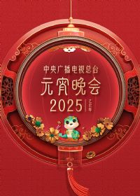 2025年中央广播电视总台元宵晚会