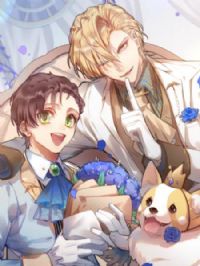 �����������޳�������